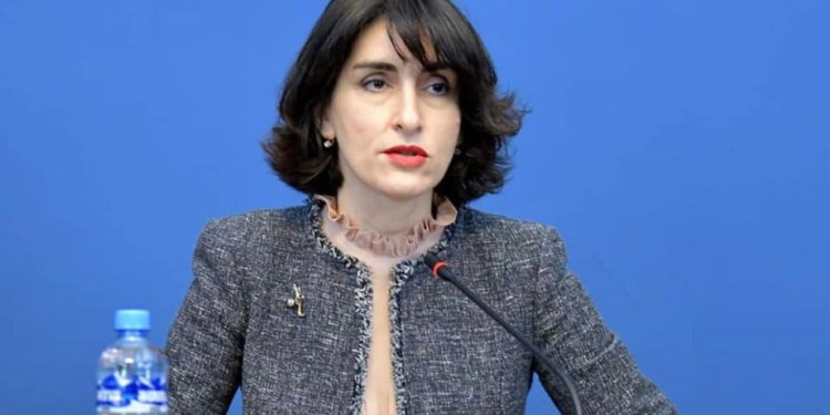 Gürcüstan XİN rəhbəri: Brüssel vizanı dayandırsa, məsuliyyət onların üzərində olacaq