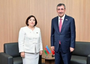 Sahibə Qafarova Türkiyənin Vitse-prezidenti Cevdet Yılmazla görüşüb