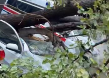 Nərimanovda ağac avtomobilin üzərinə aşdı-VİDEO