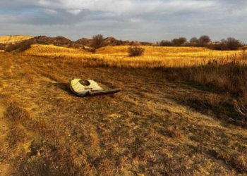 Gürcüstan DİN-dən Türkiyə təyyarəsinin qəzaya uğraması ilə bağlı AÇIQLAMA