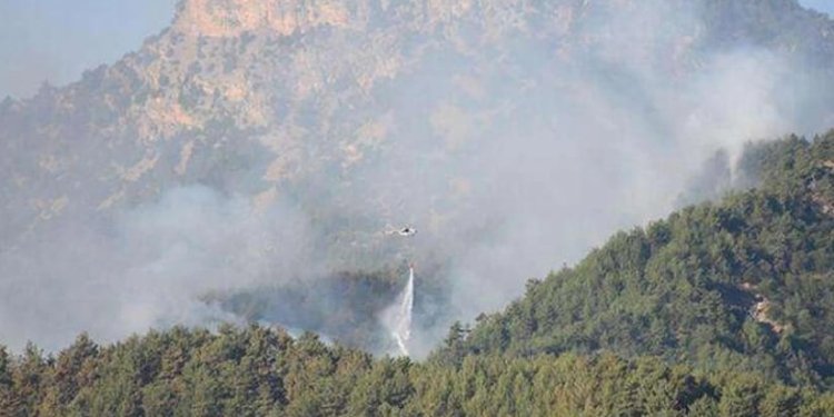 Azərbaycan-Ermənistan sərhədində baş verən yanğın söndürülüb