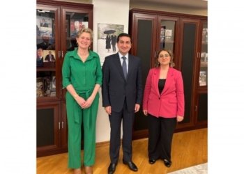 Hikmət Hacıyev Niderland səfiri ilə görüşdü