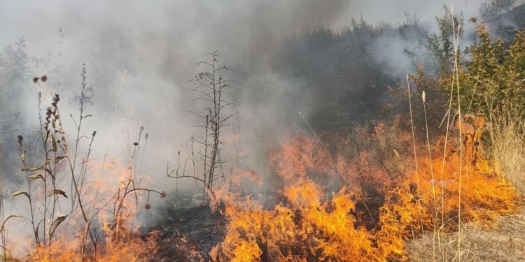 Kəlbəcərdəki yanğın Laçına keçdi