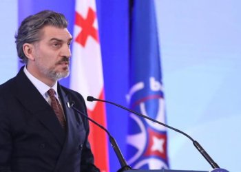 Gürcüstan Prezidenti həmkarı Ərdoğana başsağlığı verib