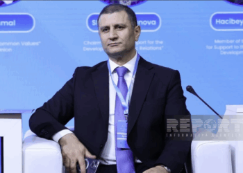 Noyabrın 24-nün TDT ölkələri QHT-lərinin Həmrəylik Günü kimi qeyd olunması təklif edilib