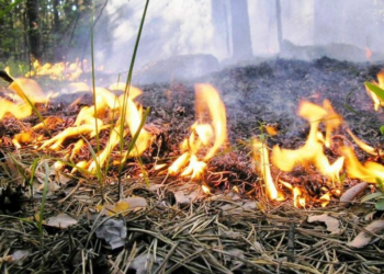 Ermənistan-Azərbaycan sərhədində baş verən yanğın davam edir