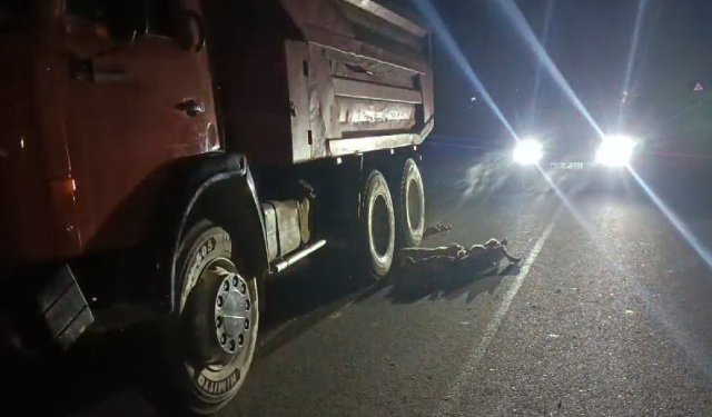  Salyanda yük maşını qoyun sürüsünü vurdu, heyvanlar tələf oldu