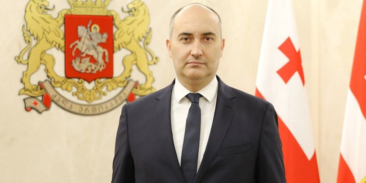 Gürcüstanın keçmiş müdafiə naziri həbsdə saxlanılıb