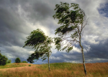 Bakıda və Abşeronda küləyin sürəti 28 m/s-dək güclənir
