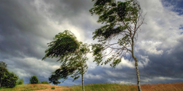 Bakıda və Abşeronda küləyin sürəti 28 m/s-dək güclənir