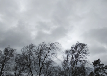 FHN güclü küləklə bağlı əhaliyə xəbərdarlıq edib