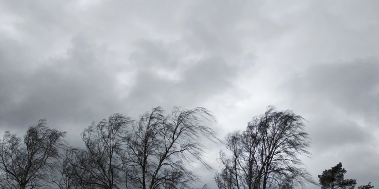 FHN güclü küləklə bağlı əhaliyə xəbərdarlıq edib