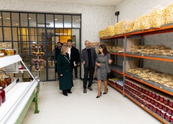 ABŞ nümayəndə heyəti “ABAD” müəssisəsində