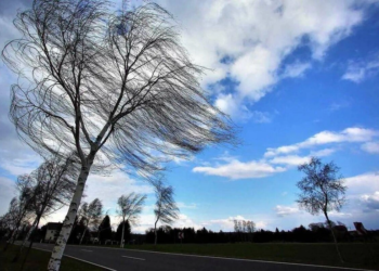 Sabah Azərbaycanda güclü külək əsəcək – XƏBƏRDARLIQ