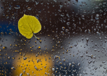 Sabah hava yağıntılı olacaq – PROQNOZ