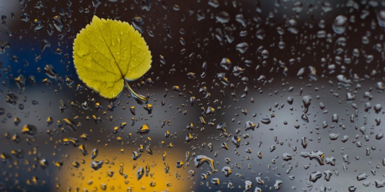 Sabah hava yağıntılı olacaq - PROQNOZ