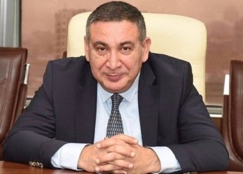 Rəşad Məcid: Mətbuat Şurasına bəzi yeni saytlar barədə şikayətlər daxil olur