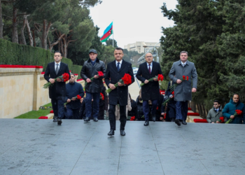 TƏBİB rəhbərliyi Şəhidlər xiyabanını ziyarət edib