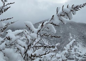 Sabah qar yağacaq, güclü külək əsəcək