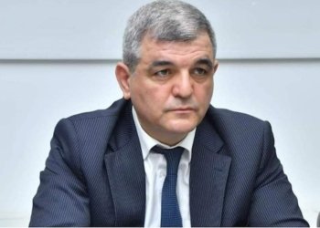 “Naxçıvanın dövlət deyə tanıtımı konstitusiyadan çıxarılmalıdır” – Deputat