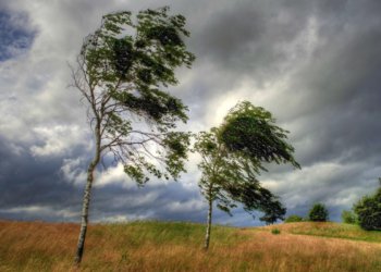 Növbəti iki gün güclü külək əsəcək – Xəbərdarlıq edildi
