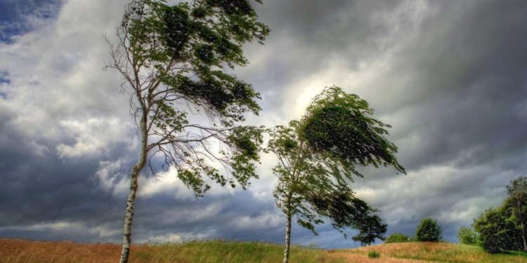 Növbəti iki gün güclü külək əsəcək - Xəbərdarlıq edildi