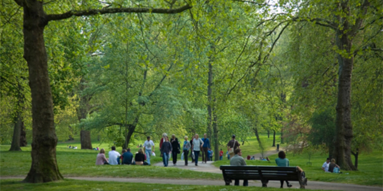 Bu ölkədə “Şuşa” parkı salınacaq