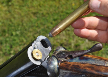 Qardaş qardaşı ov tüfəngi ilə qətlə yetirdi