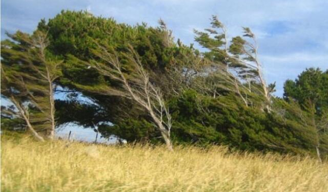 Bakıda və bölgələrdə külək güclənəcək - Xəbərdarlıq