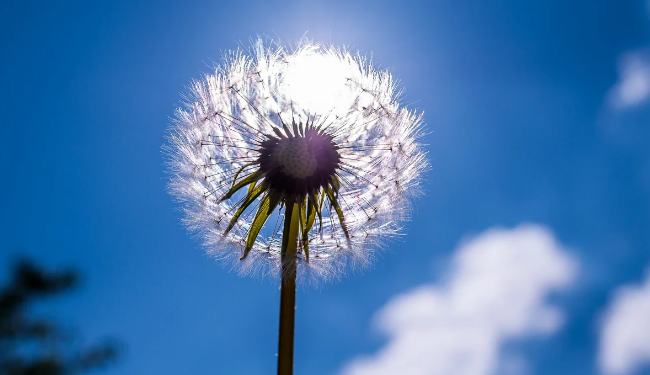 Mayda temperatur 32 dərəcəyədək yüksələcək - AYLIQ PROQNOZ