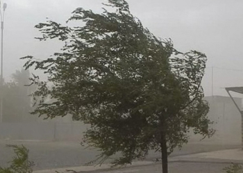 Küləkli hava şəraiti ilə bağlı XƏBƏRDARLIQ