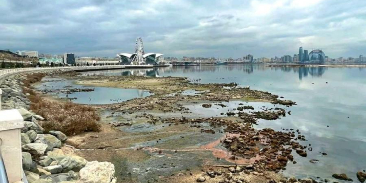 Xəzərlə bağlı həyəcan təbili:Fəlakət yaşana bilər