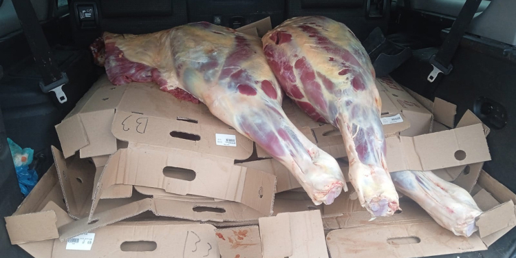 İstehlaka yararsız 227 kq at əti aşkarlandı