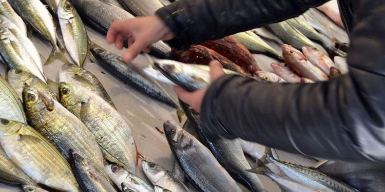 Xaricdən kiloqramı 2 manata alınan balıq niyə 35 manata satılır? - VİDEO