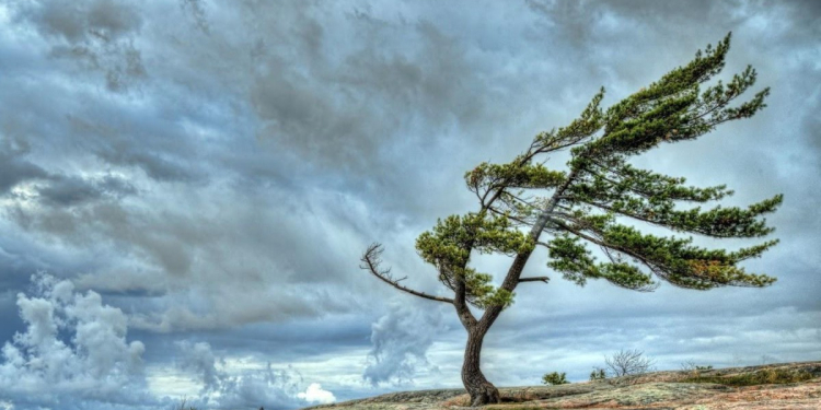 Sabahın havası ilə bağlı - XƏBƏRDARLIQ