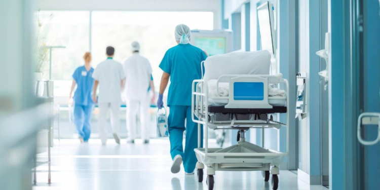 Azərbaycanda vəhşi heyvan sakinlərə hücum etdi - Yaralılar var