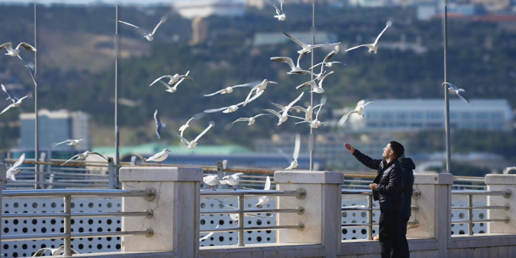 İstirahət günü 24° isti olacaq