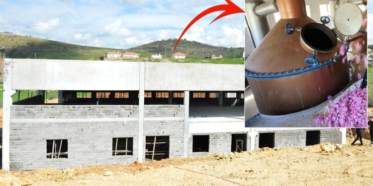 Məşhur müğənni var-yoxunu satıb kəndinə yatırım etdi: 500 nəfərlik iş yeri