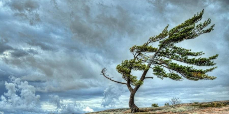 Küləklə bağlı – Xəbərdarlıq