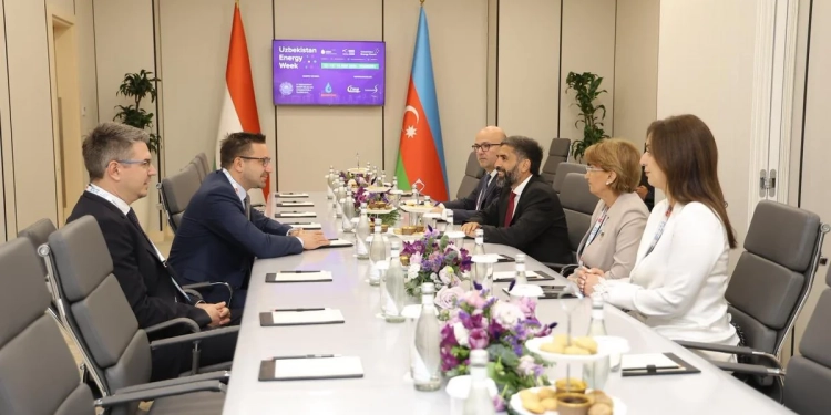 SOCAR və MOL Group enerji təhlükəsizliyi və gələcək əməkdaşlığı müzakirə ediblər
