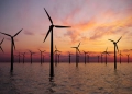 Azərbaycan Xəzərdə külək enerjisi potensialının tədqiqinə başlayıb