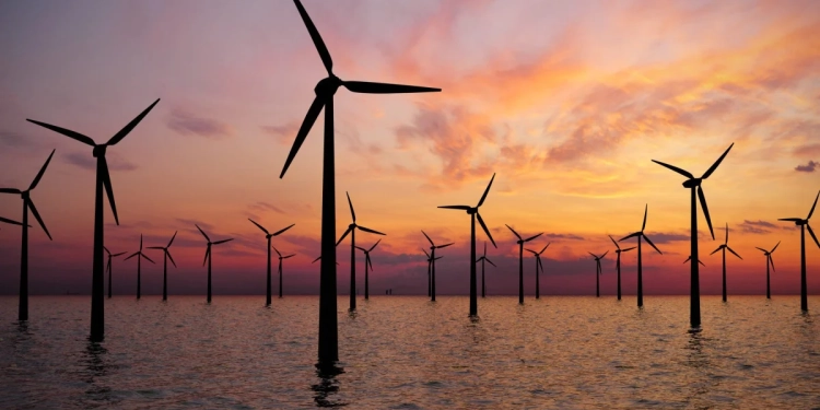 Azərbaycan Xəzərdə külək enerjisi potensialının tədqiqinə başlayıb